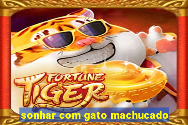 sonhar com gato machucado